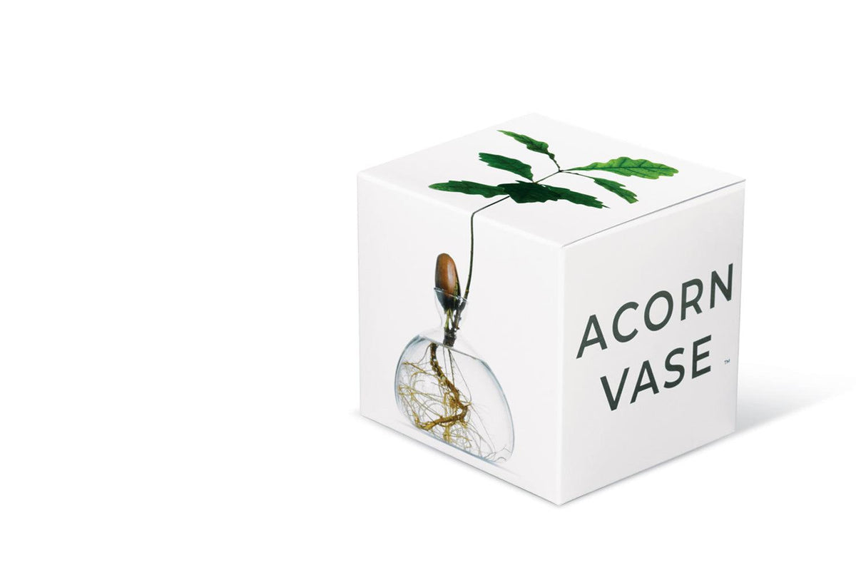 Acorn Vase, Ilex studio
