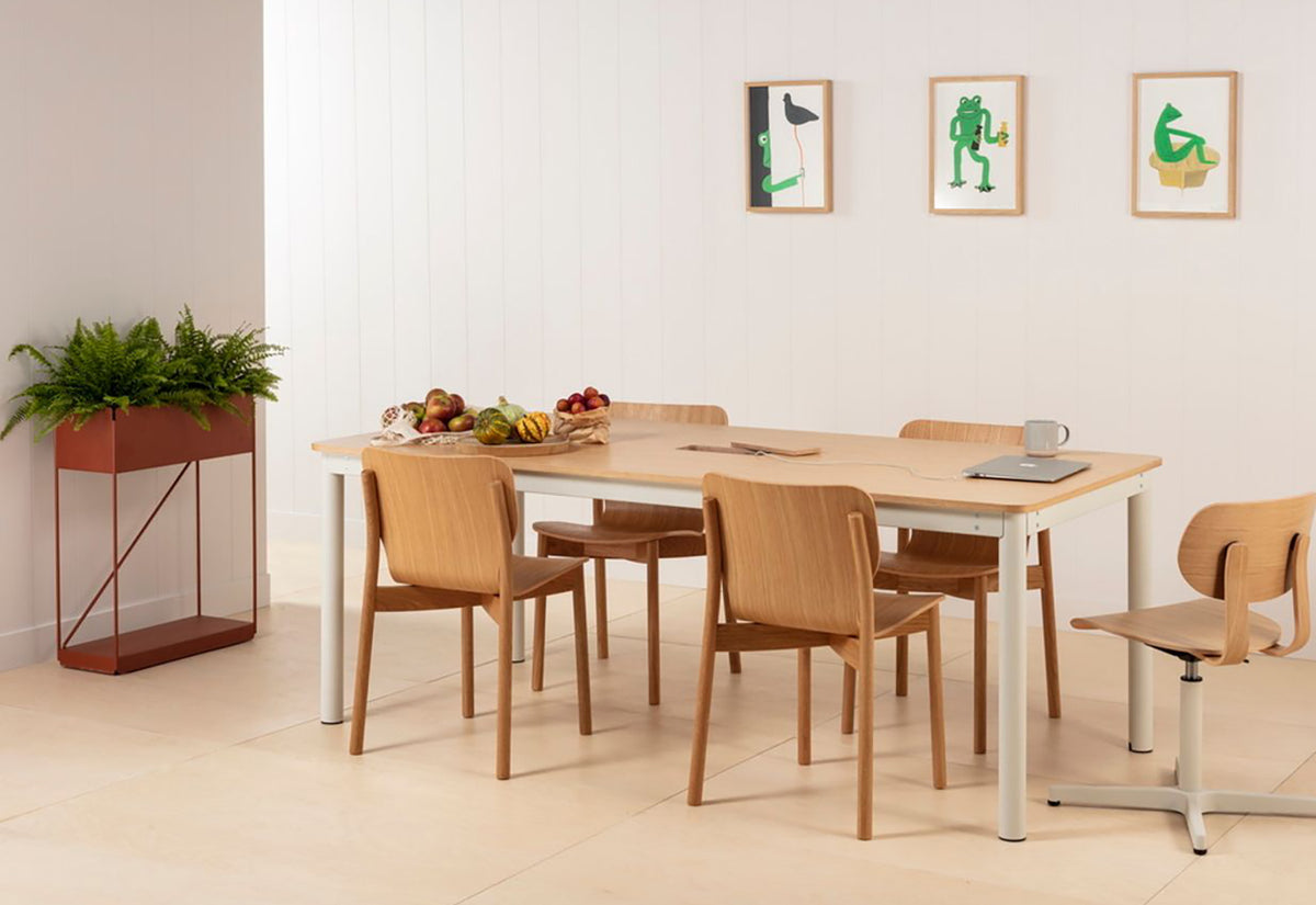 Pino Chair, John tree, Very good and proper